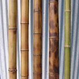 Ствол бамбук d60-70х2500-3000мм обожженный
