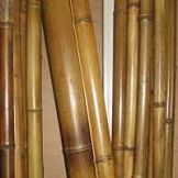 Ствол бамбук d20-30х2500-3000мм обожженный