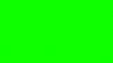 Пленка D-c-fix самоклеящаяся  200-1728 (0,45х15) матовая зеленая