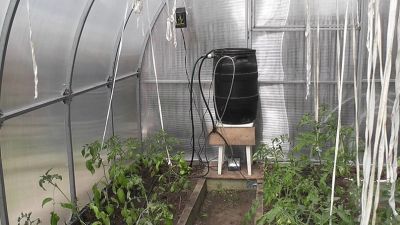 Набор капельного полива 30 растений от емкости Автомат Жук
