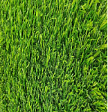 Трава искусственная Шри Ланка h-20мм 1,0м